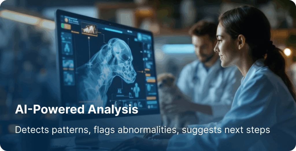 Vibrome® AI livestock health analysis detecting abnormal biosignature patterns and suggesting veterinary next steps