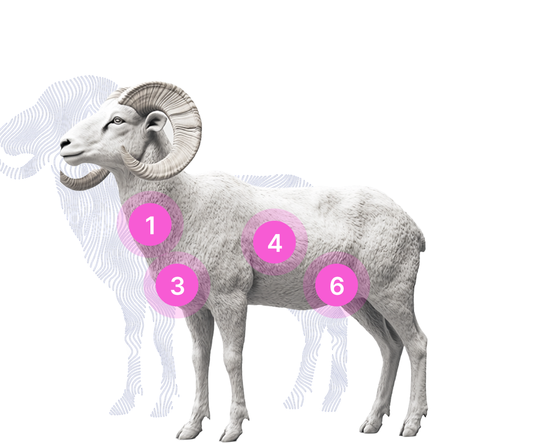 Vibrome® ram livestock biosignature scan map for non-invasive multi-organ health monitoring