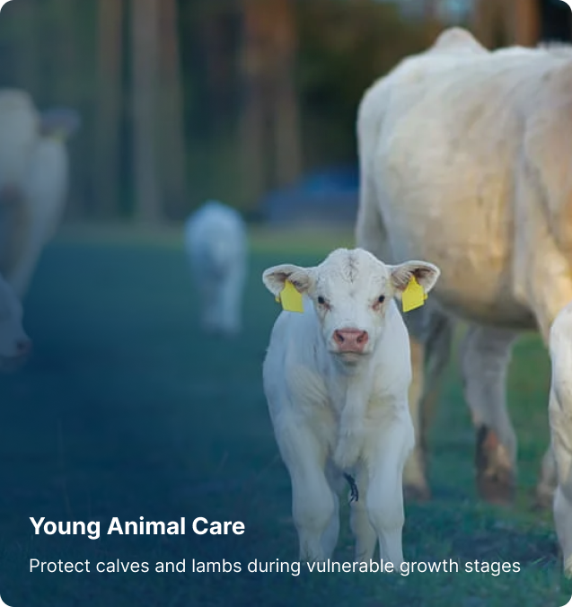 Vibrome® young animal care screening for calves and lambs during vulnerable growth stages
