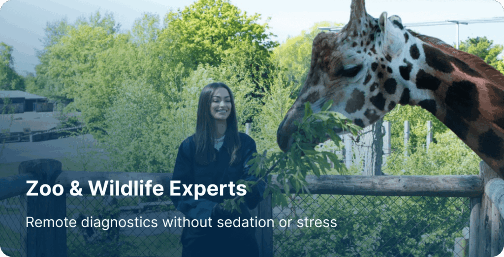 Zoo and wildlife experts using Vibrome® remote diagnostics for animal health screening without sedation or stress