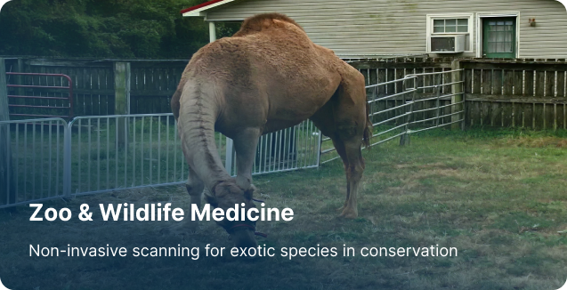 Vibrome® zoo and wildlife medicine using non-invasive biosignature scanning for exotic species health monitoring
